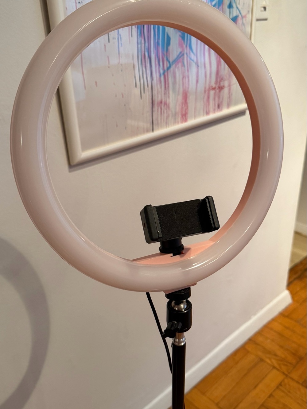Pink LED Ring Light with Phone Mount